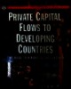 Private capital flows to developing countries: The road to financial integration